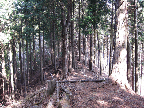 20190205hike (102)